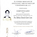 Ampliar imagen: certificate 2