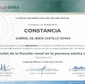 Ampliar imagen: certificate 29