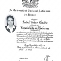 Ampliar imagen: certificate 2