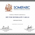 Ampliar imagen: certificate 20