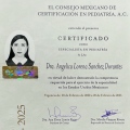 Ampliar imagen: certificate 3