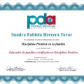 Ampliar imagen: certificate 5