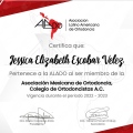 Ampliar imagen: certificate 5