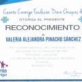 Ampliar imagen: certificate 3