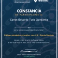Ampliar imagen: certificate 10