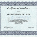 Ampliar imagen: certificate 13