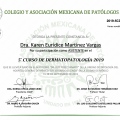 Ampliar imagen: certificate 3