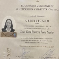 Ampliar imagen: certificate 2