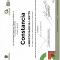 Ampliar imagen: certificate 15