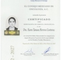 Ampliar imagen: certificate 3