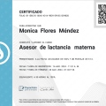 Ampliar imagen: certificate 11