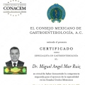 Ampliar imagen: certificate 1