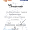Ampliar imagen: certificate 10