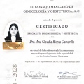Ampliar imagen: certificate 4