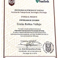 Ampliar imagen: certificate 8