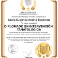 Ampliar imagen: certificate 6