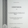Ampliar imagen: certificate 8