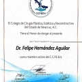 Ampliar imagen: certificate 4