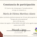 Ampliar imagen: certificate 3