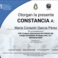 Ampliar imagen: certificate 3