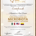 Ampliar imagen: certificate 5