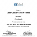 Ampliar imagen: certificate 1