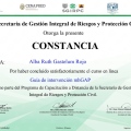 Ampliar imagen: certificate 4