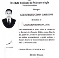 Ampliar imagen: certificate 1