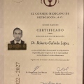 Ampliar imagen: certificate 5