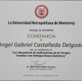 Ampliar imagen: certificate 3