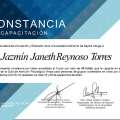 Ampliar imagen: certificate 5