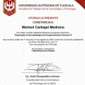 Ampliar imagen: certificate 3