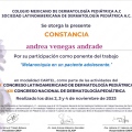 Ampliar imagen: certificate 2