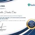 Ampliar imagen: certificate 1