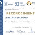 Ampliar imagen: certificate 6