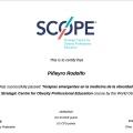 Ampliar imagen: certificate 3