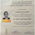 Ampliar imagen: certificate 2