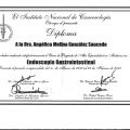 Ampliar imagen: certificate 5