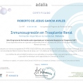 Ampliar imagen: certificate 7