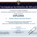 Ampliar imagen: certificate 2