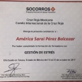 Ampliar imagen: certificate 17