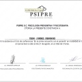 Ampliar imagen: certificate 9