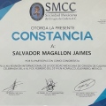 Ampliar imagen: certificate 27