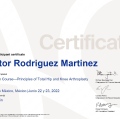 Ampliar imagen: certificate 6