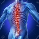 Unidad Especializada En Columna Vertebral