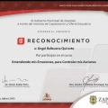 Ampliar imagen: certificate 3