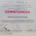 Ampliar imagen: certificate 5