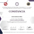 Ampliar imagen: certificate 2