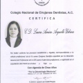 Ampliar imagen: certificate 2