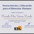 Ampliar imagen: certificate 5